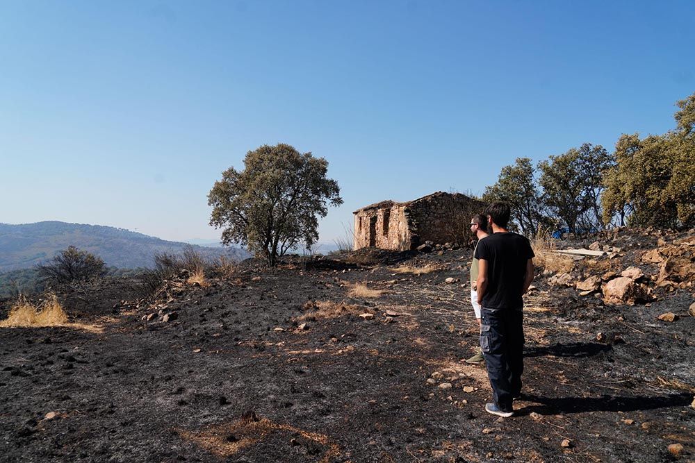 El incendio del Calatraveño arrasa zonas de gran valor ambiental