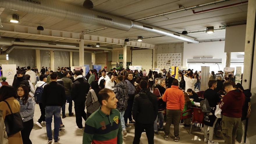 Más de 1.300 alumnos tomarán parte en la Feria de Empleo y FP del Guadalentín en Lorca