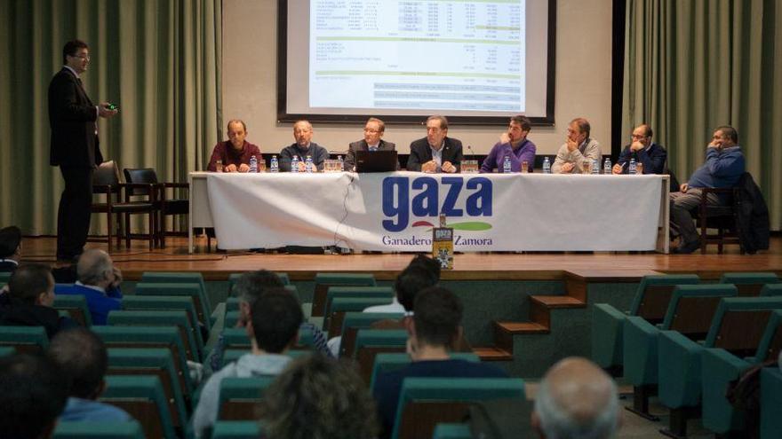 Asamblea de Gaza celebrada hoy.