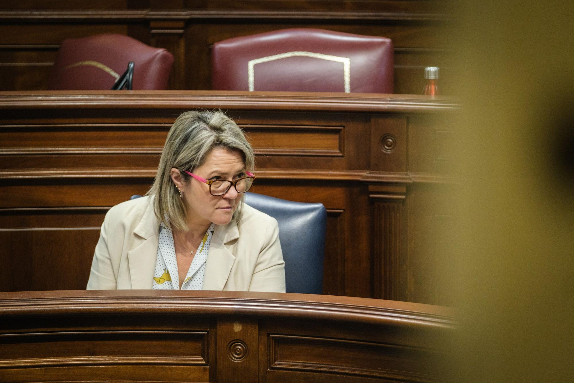 Pleno del Parlamento 27/04/22