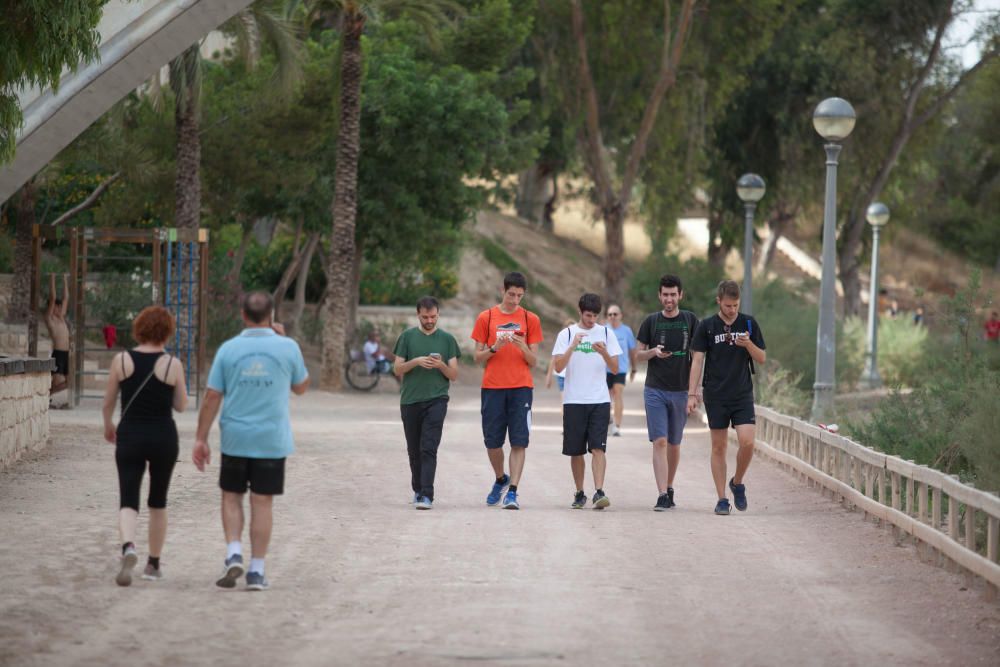 Pokémon Go conquista las calles de Elche