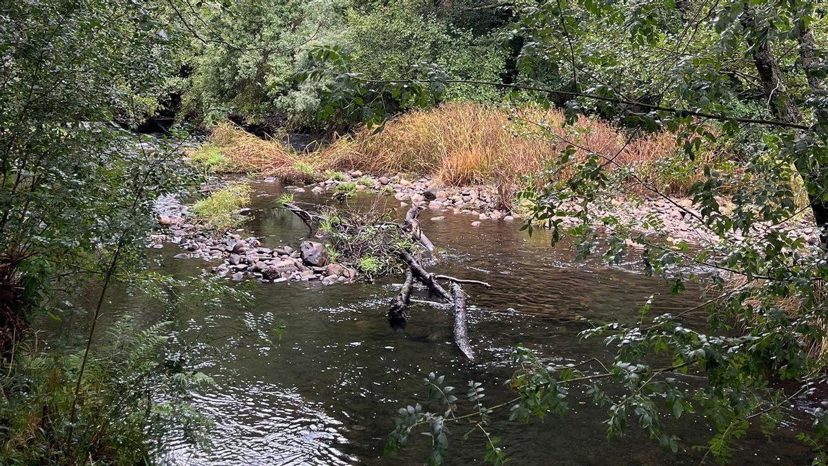 El río Tera turbio por el arrastre de las lluvias