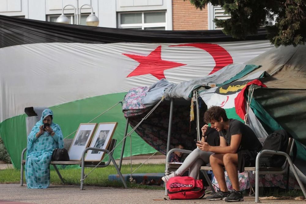 VI Jornadas sobre la cultura del Sáhara Occidental