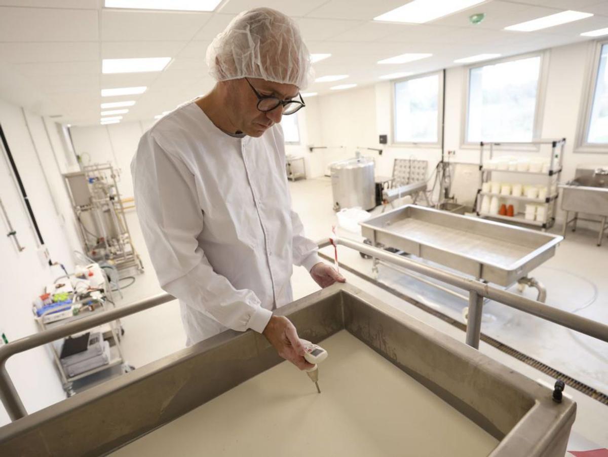 Luis Noriega, en la planta piloto, toma la temperatura de la leche. | L. Murias