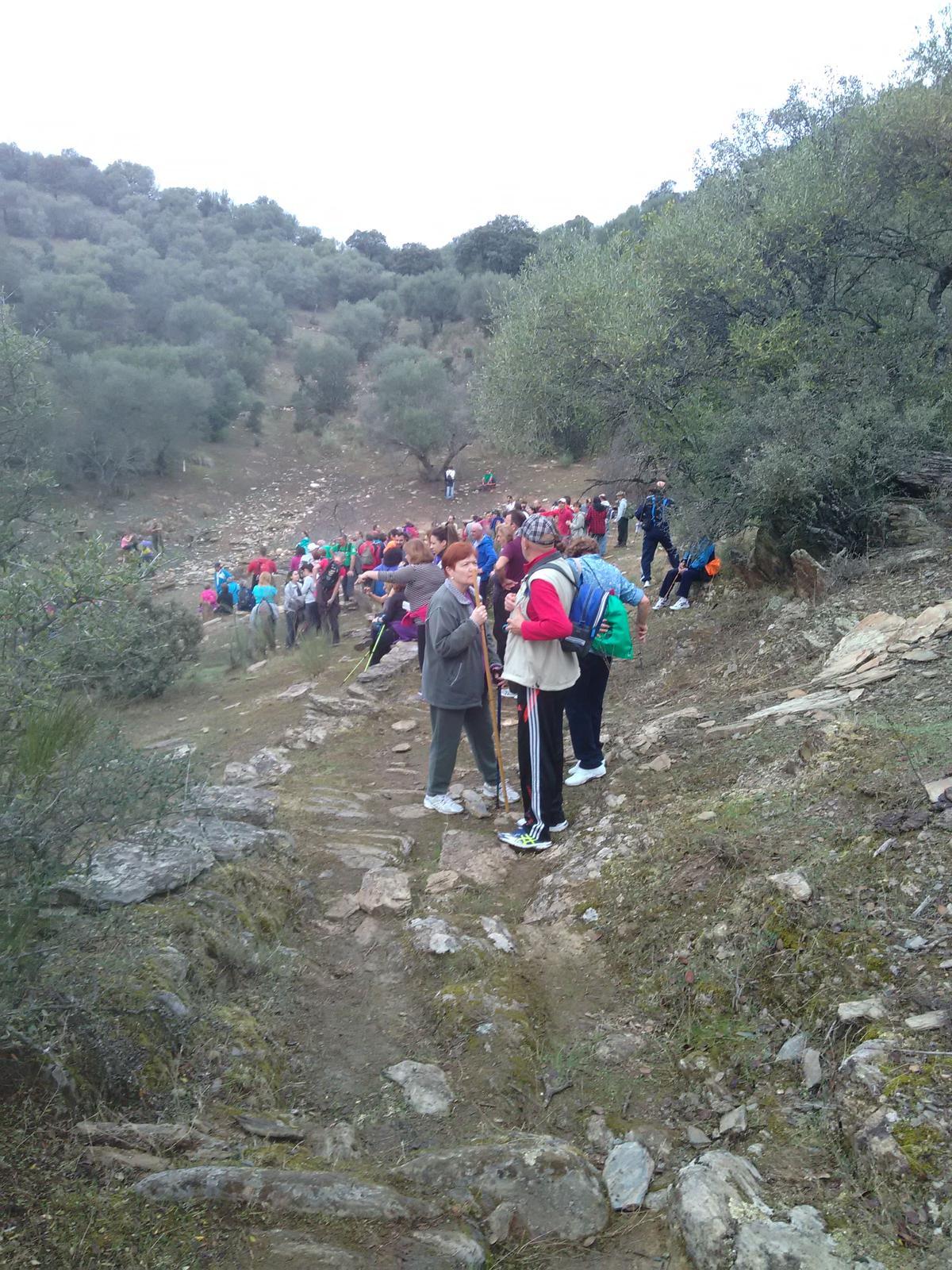 Las rutas por la dehesa son uno de los alicientes de la Feria Agroalimentaria de Santiago del Campo.