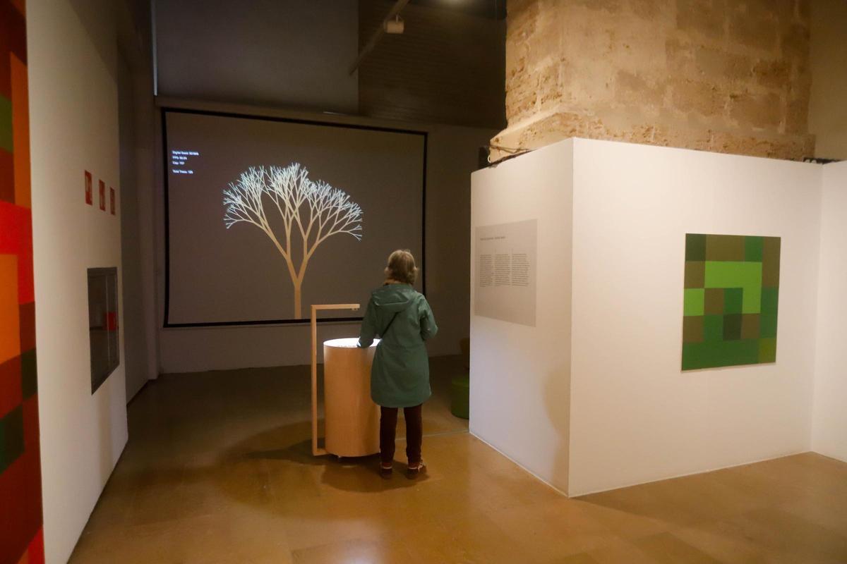 Instalación "Semillas digitales".