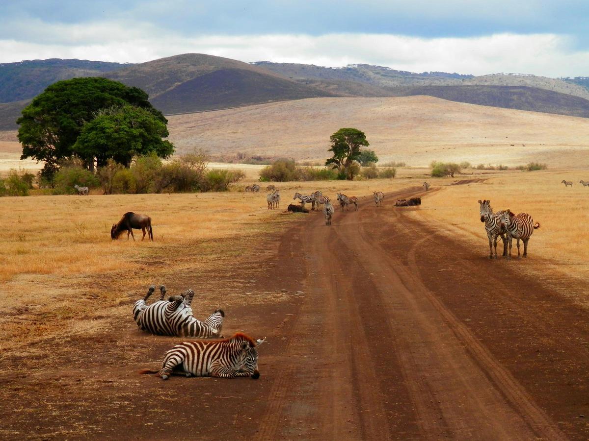 El Serengueti es el corazón de un viaje a Tanzania