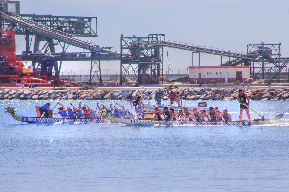 Lo dragones toman la bahía de Torrevieja