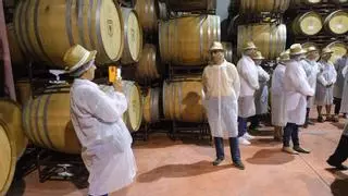 Las mujeres superan a los hombres en las visitas a bodegas de la Ruta del Vino Alicante