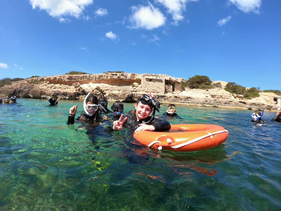 Zambullida para conocer la posidonia