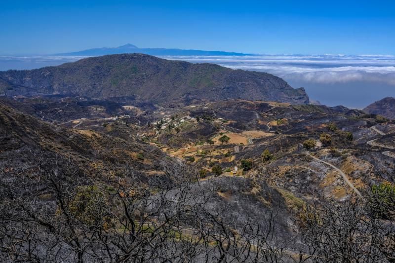 Consecuencias del incendio: De Valleseco a Artenar