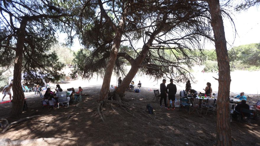 Elche, Crevillent y Santa Pola prefieren la playa para la mona de Pascua