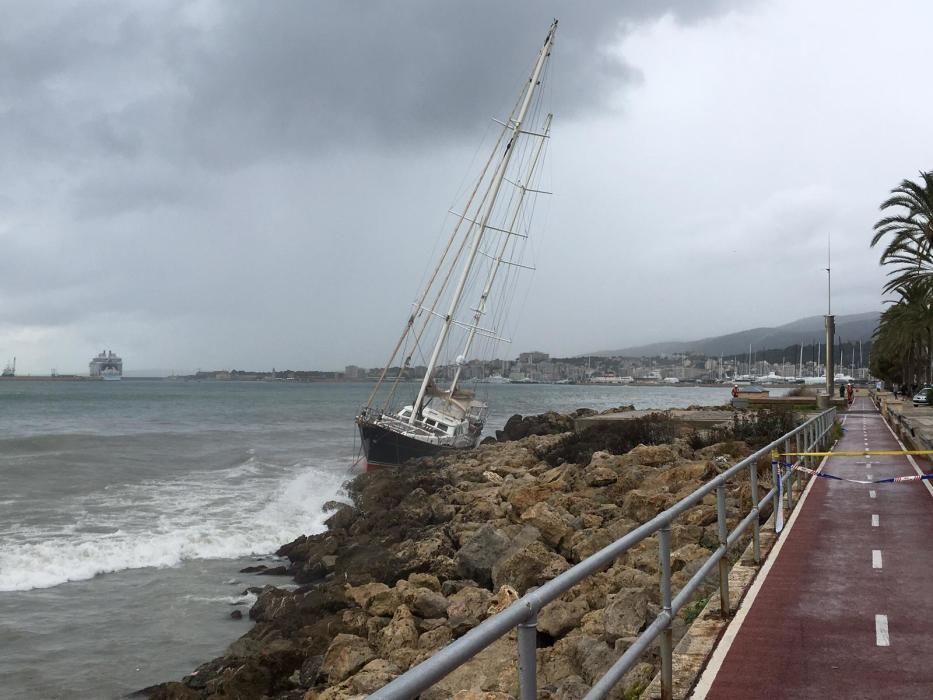 Un velero a la deriva embarranca en Palma