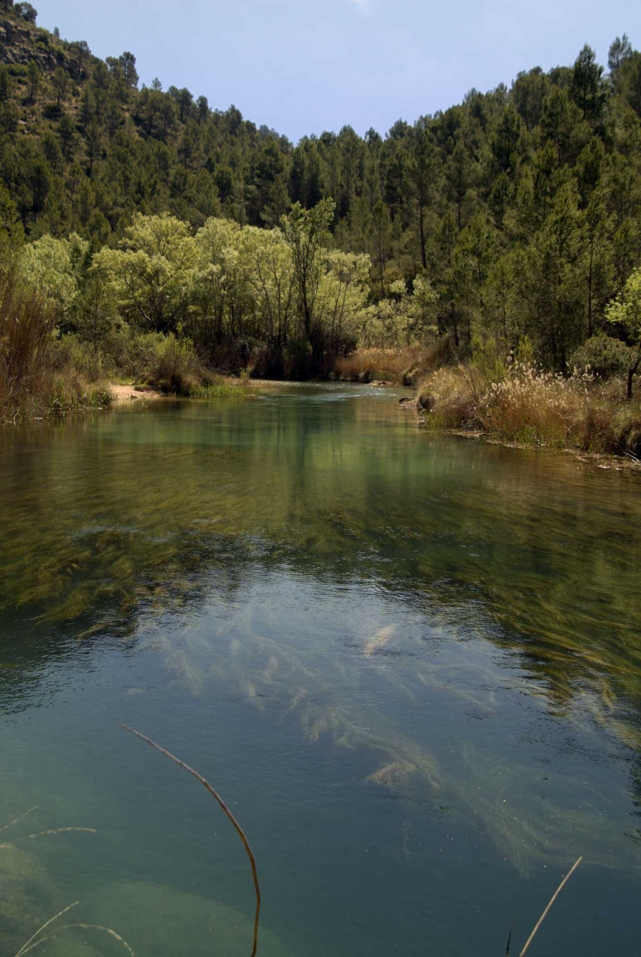 Parque natural de las Hoces del Cabriel