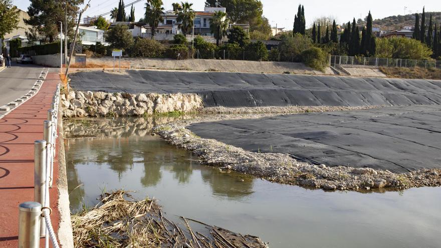 Recuperación del bosque de ribera en el río Albaida en Manuel