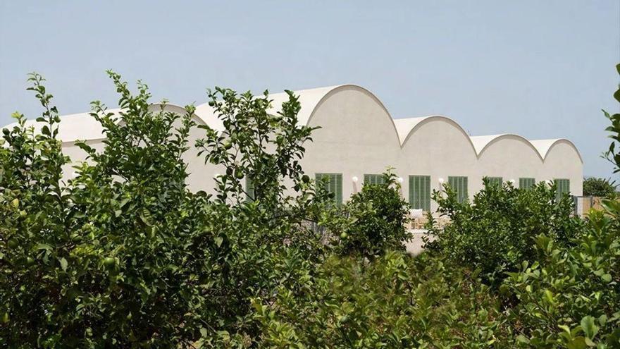 Vídeo | La espectacular casa que se esconde entre limoneros en Murcia: seis bóvedas de 9 metros y unas vistas de ensueño