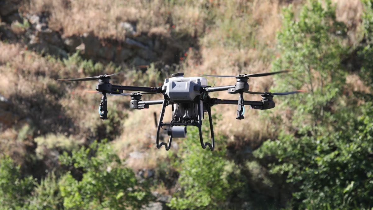 El tratamiento biológico con drones se ha desarrollado en las riberas del Tajo a la altura de Tenerías y en el entorno del barrio de Santa María de Benquerencia