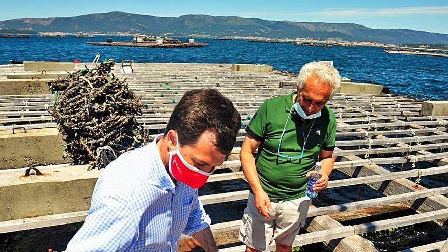 Gonzalo Caballero, en una batea en la ría de Arousa.