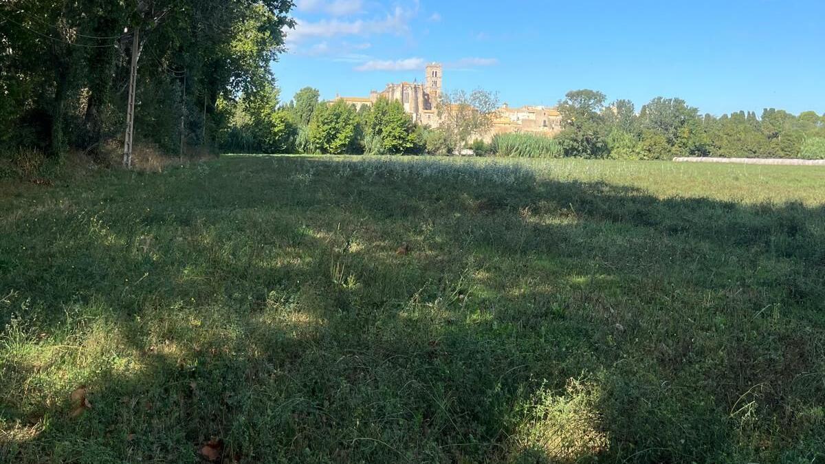 Futur Estany de la Vila de Castelló d'Empúries.