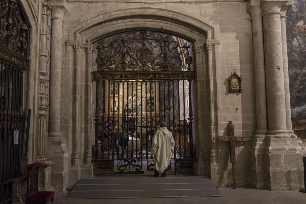 Semana Santa en Zamora 2019 | Jesús Luz Y Vida