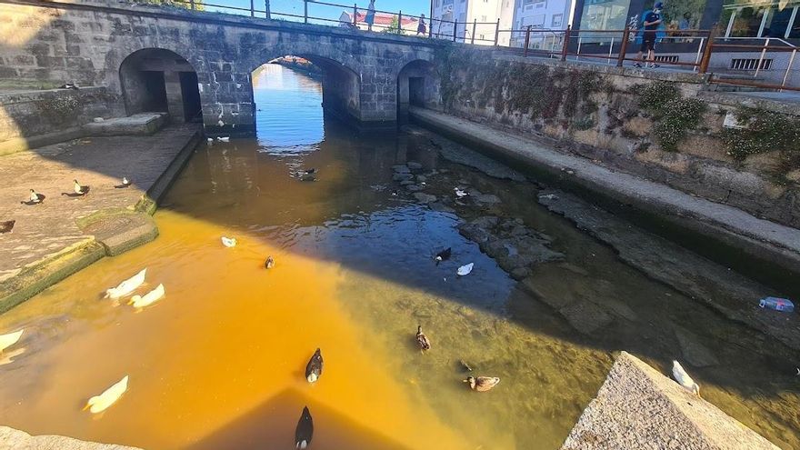 Los patos nadan hoy sobre un líquido marrón.