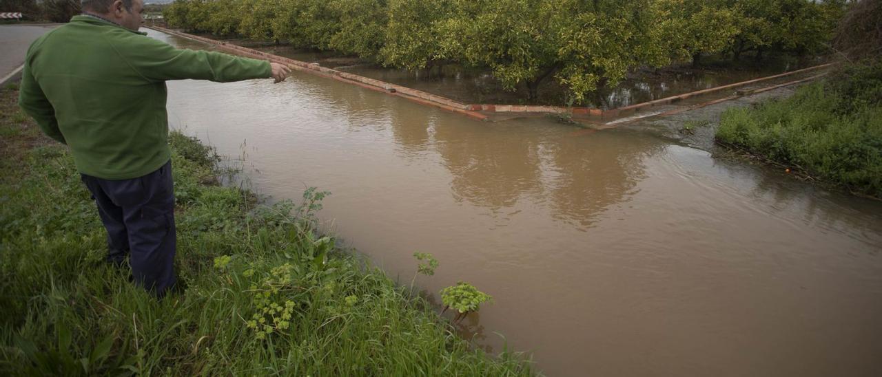 Un agricultor muestra
la inundación en las tierras
del marjal.  Tortajada