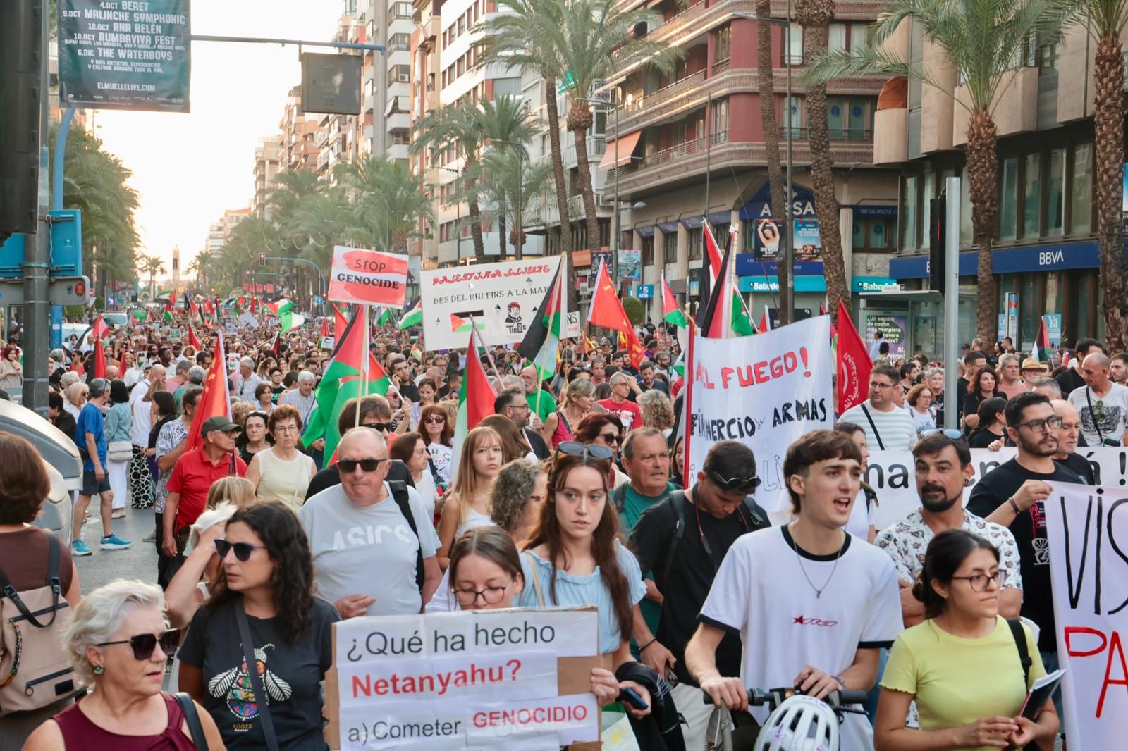 Más de 80 colectivos de Alicante se manifiestan a favor de Palestina
