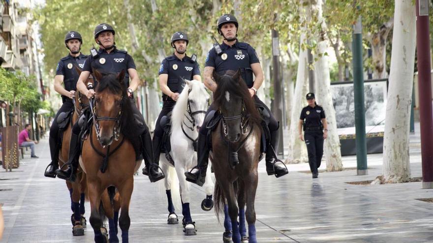 Qué bonito lo de los cuatro policías locales a caballo, por favor. El único problema que encuentro es que no sé exactamente para qué sirven en Murcia. En Londres o en Nueva York asumen el trabajo de controlar manifestaciones, procurar que las enormes colas de los estadios guarden un orden y pasear por los inmensos parques vigilando que no se produzcan delitos. ¿Pero, en Murcia? La verdad es que andamos escasos de enormes parques y en las plazas, al no tener árboles que tapen a asesinos y violadores, los caballistas van a tener poco trabajo. Ahora, eso sí, para las romerías pegan mucho, aunque al ser tan pocas al año, no sé yo. ¿Saben lo que quedaría muy bien? Un político local en su coche descapotable y los cuatro jinetes de escolta acompañándolo, con o sin lanza.