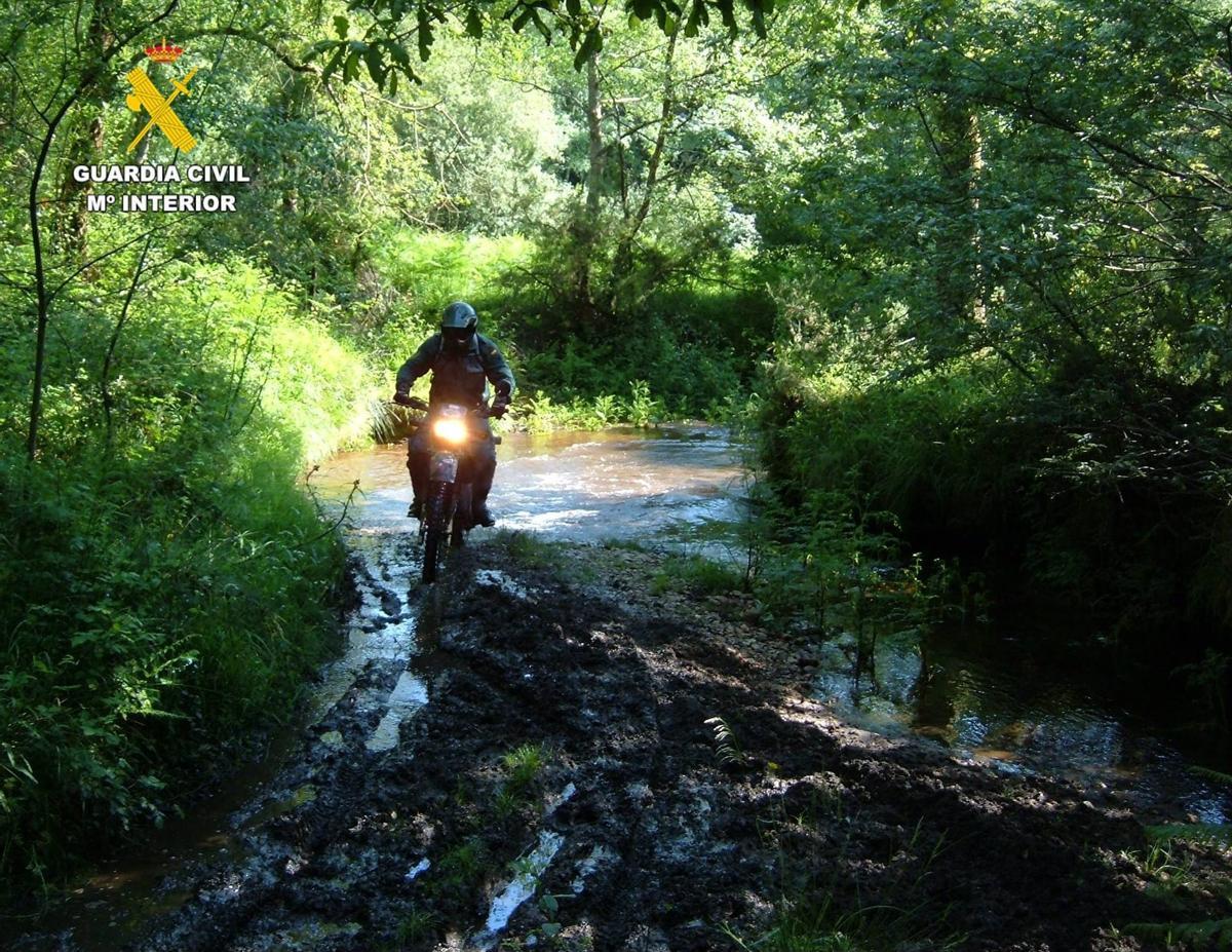La Guardia Civil detuvo a cinco personas por los robos de las motocicletas.