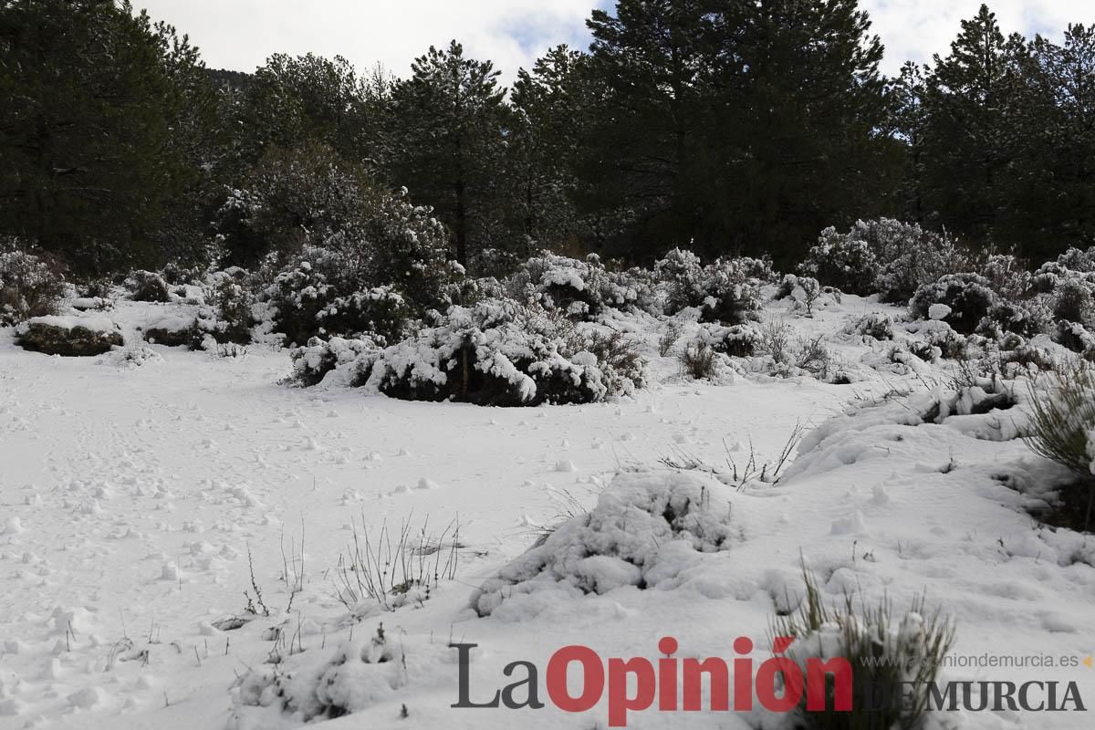 La borrasca Herminia tiñe de blanco la cima de la Región de Murcia