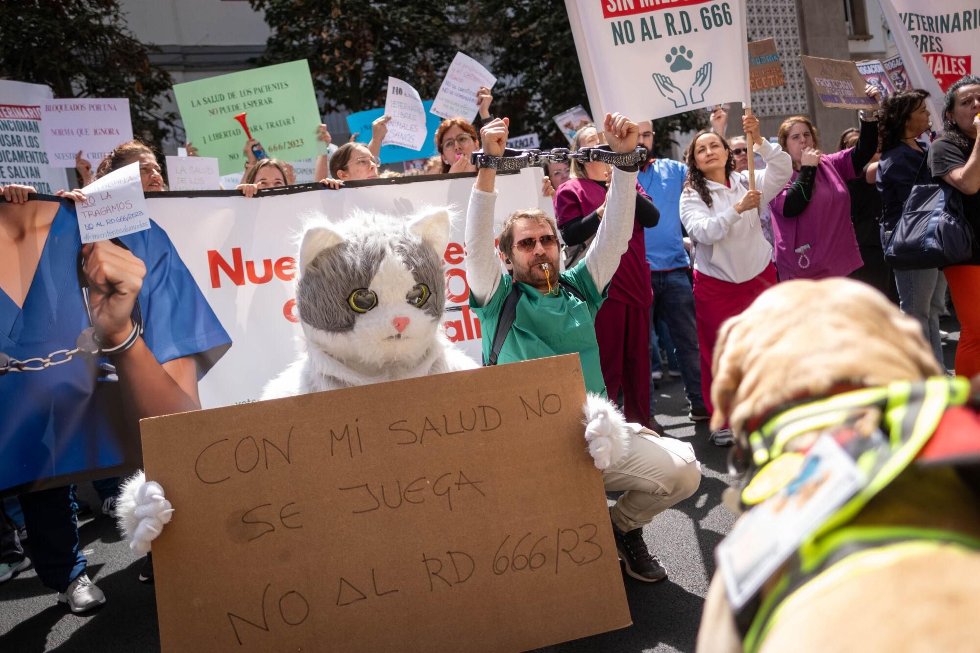 Los veterinarios  de Tenerife se manifiestan contra el decreto que les impide suministrar antibióticos a las mascotas.