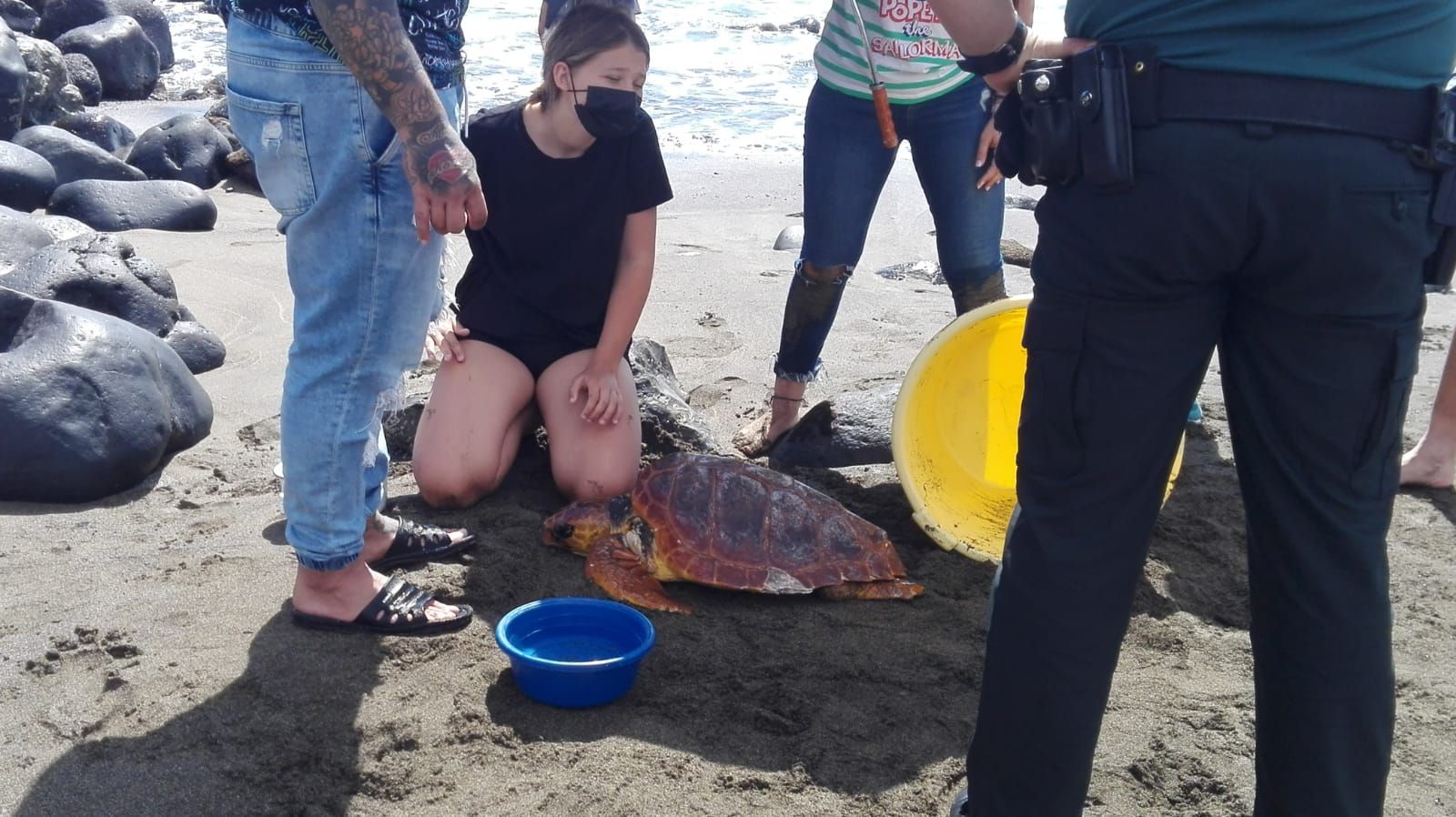 Rescate de una tortuga en El Burrero (02/05/21)