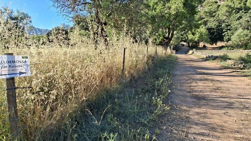Denuncian ante la Fiscalía el riesgo de incendio en Raixa por la falta de mantenimiento