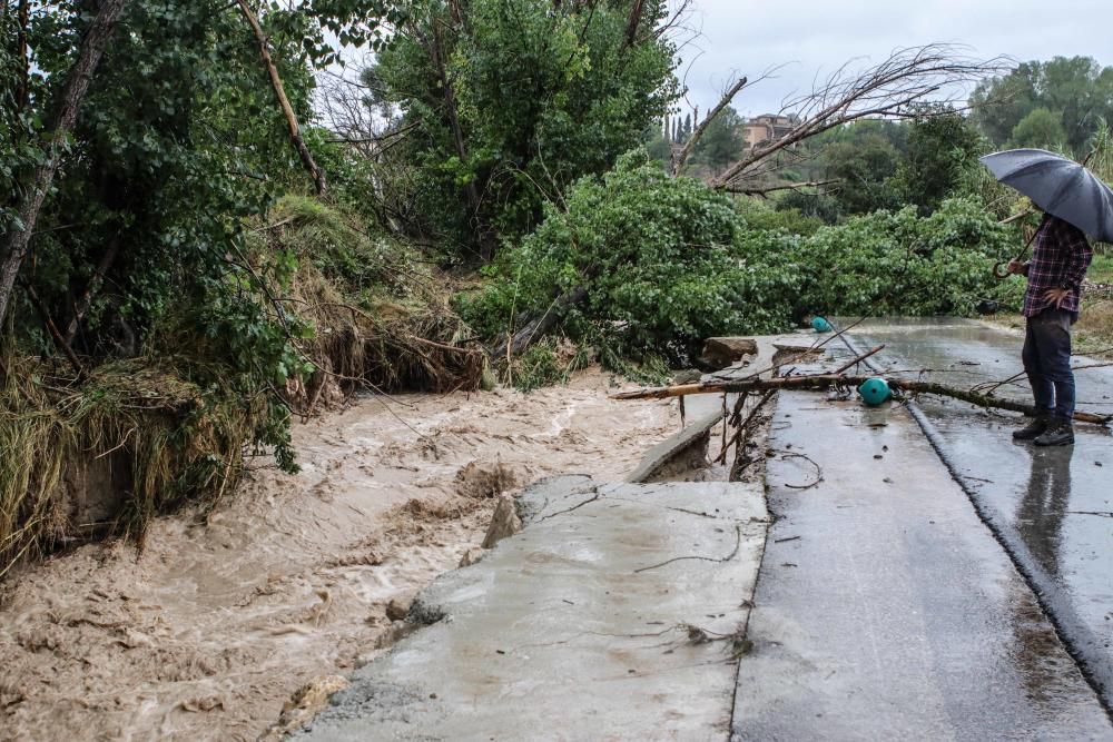 Destrozos en El Comtat por el temporal