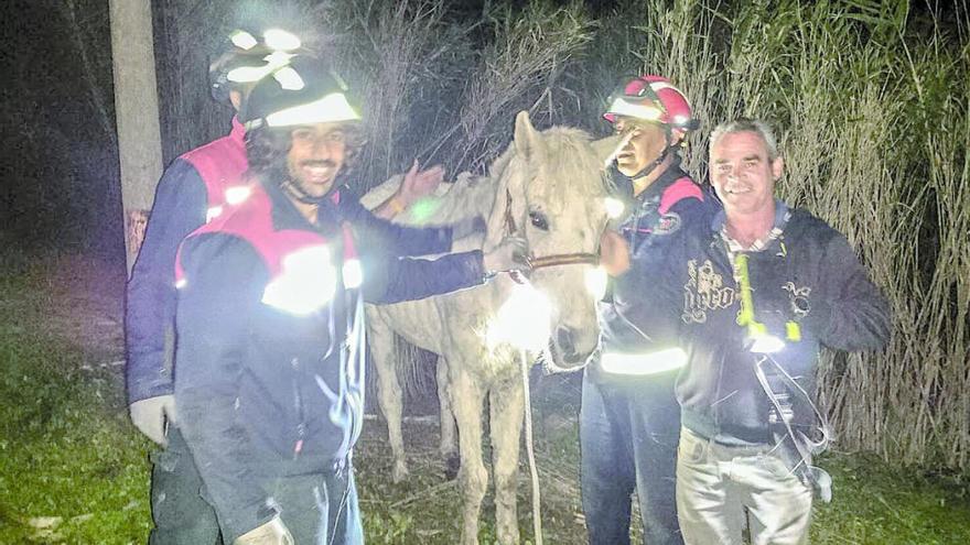 Rescatan un caballo herido tras una caída