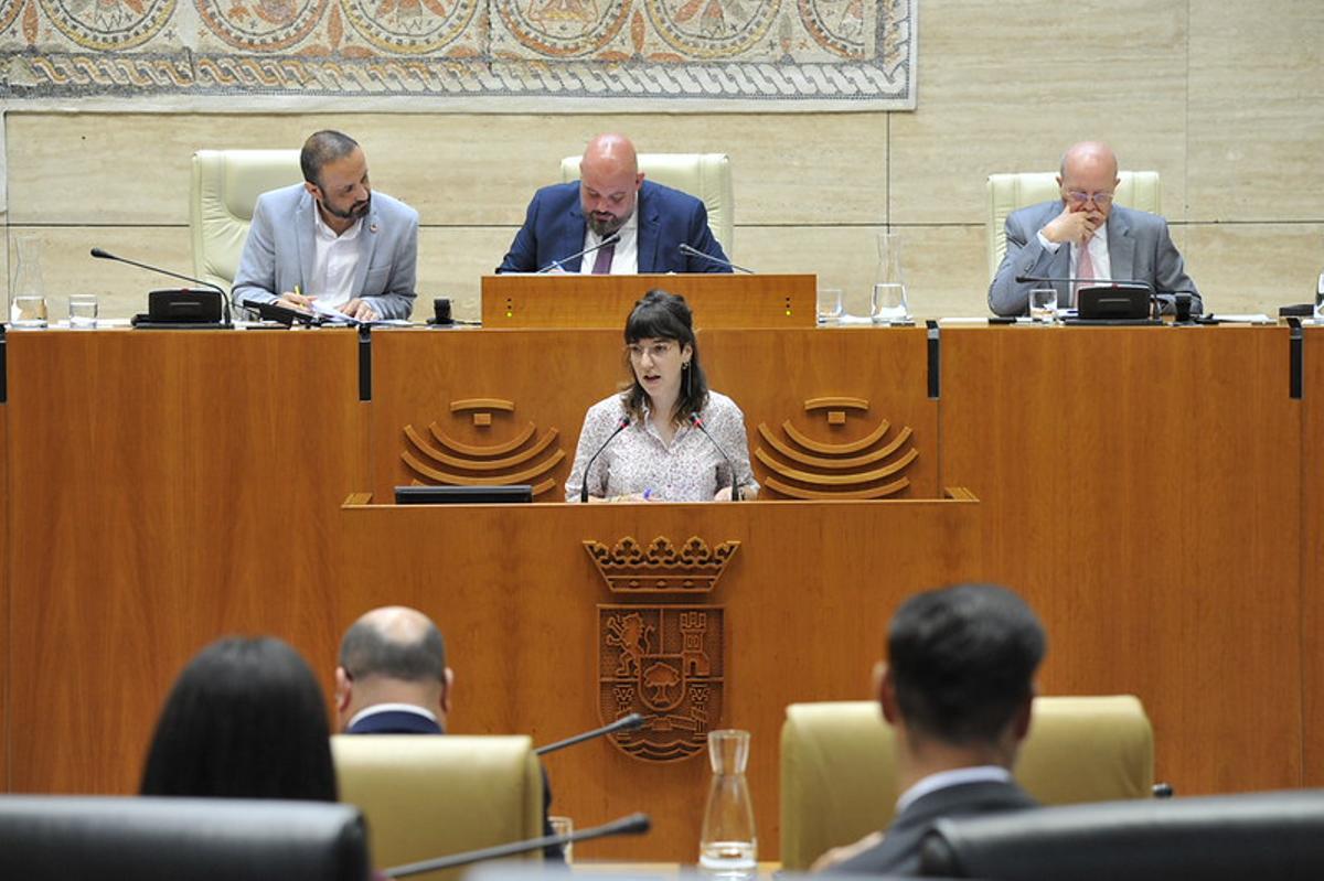 La diputada de Unidas por Extremadura Nerea Fernández Cordero, en la tribuna de la Asamblea de Extremadura.