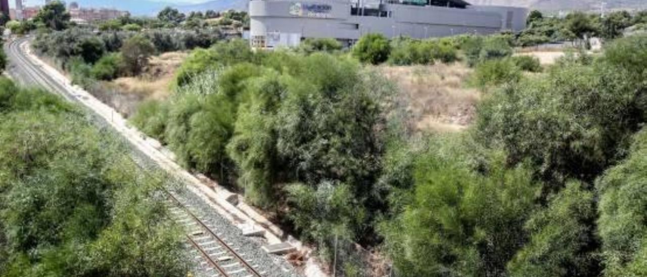 Una nueva intermodal unirá las estaciones de bus y Tram en 2018