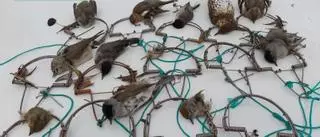 El Seprona denuncia a un cazador furtivo que se mostró agresivo tras ser sorprendido 'in fraganti'