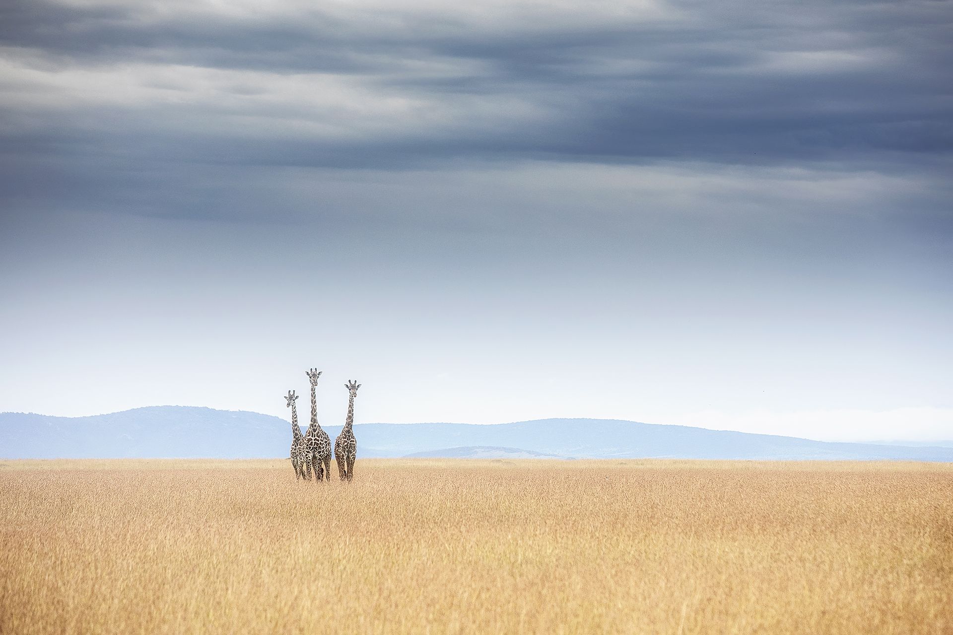 TWIGA - Marco Gaiotti (Italia) - Mención de Honor Tema del año: Fotografía en Africa