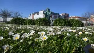 Domingo de influencia anticiclónica y temperaturas agradables en A Coruña