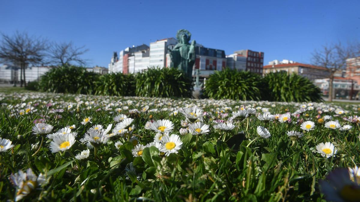 Día de primavera en el Parrote