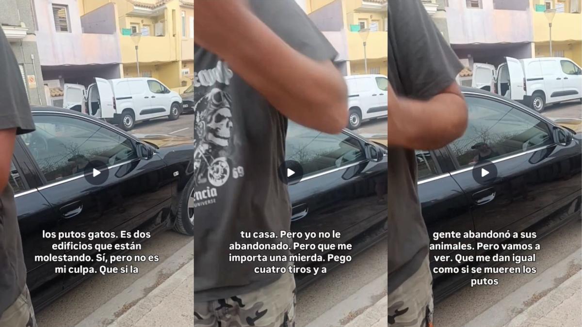 Un vecino increpa a una asociación de colonias felinas en Albal
