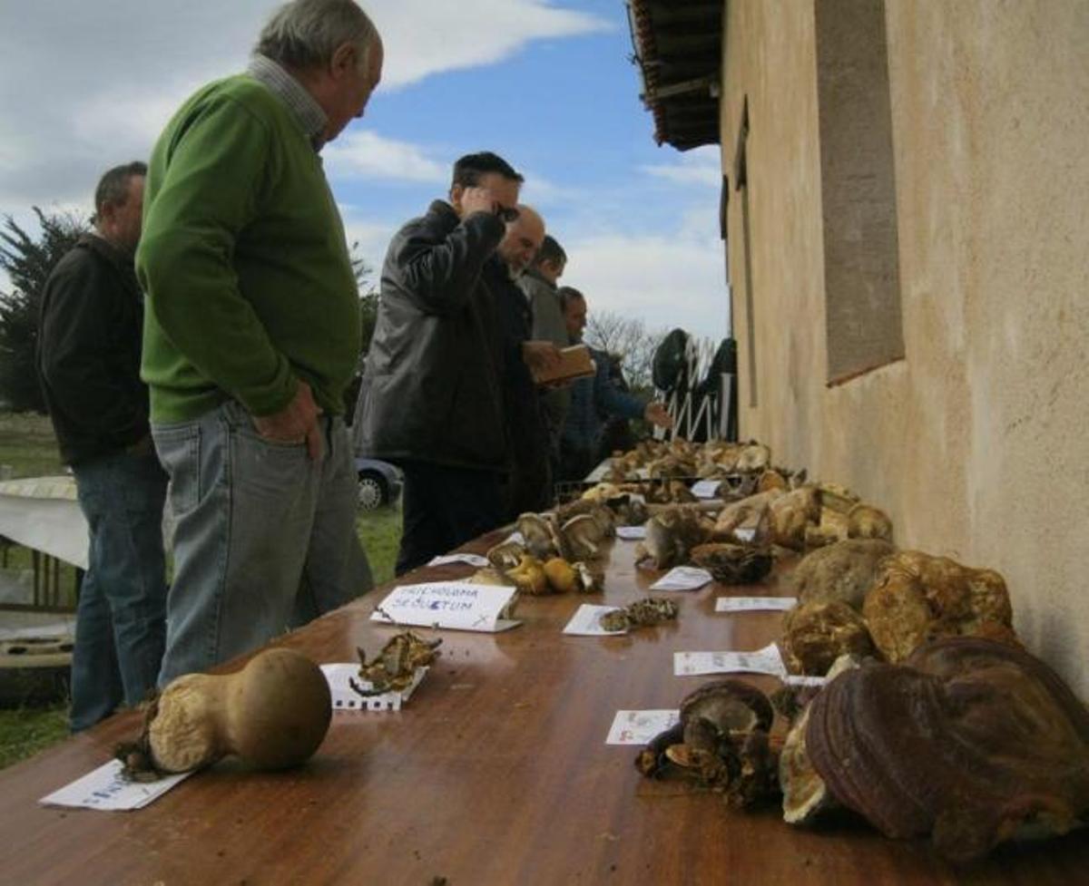 Setas y caza se dan la mano