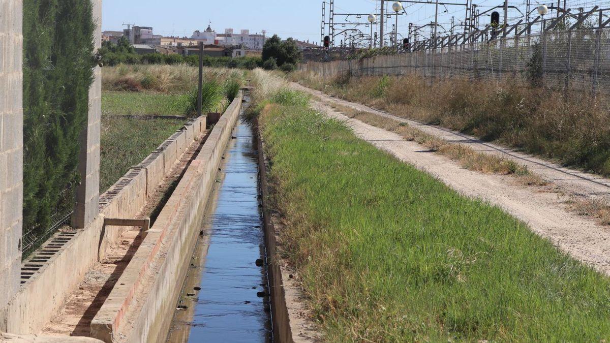 El cráneo estaba atrapado entre la maleza de una de las acequias de riego de La Torre.