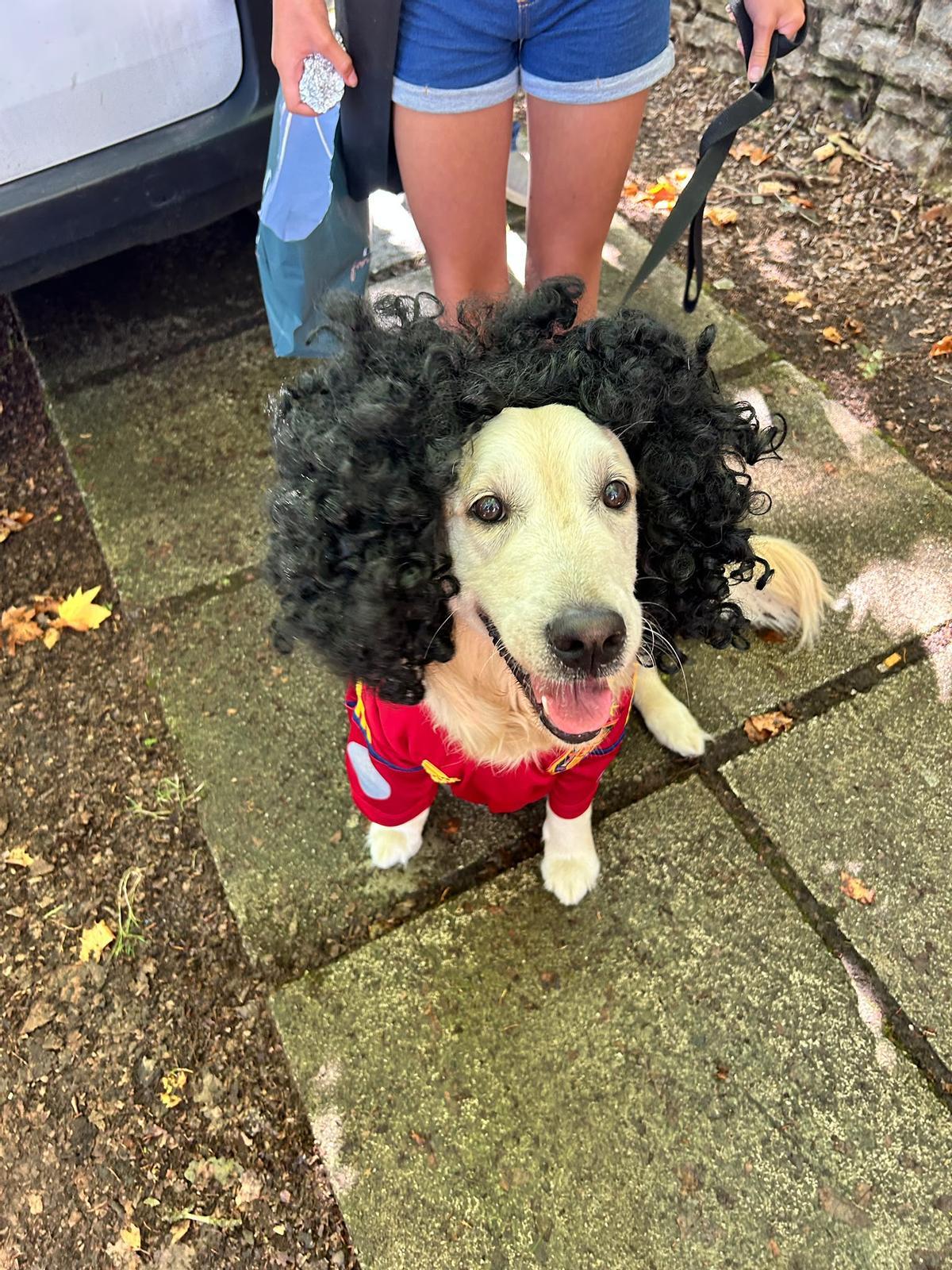 Cucurella, la perra que enamora a Somió