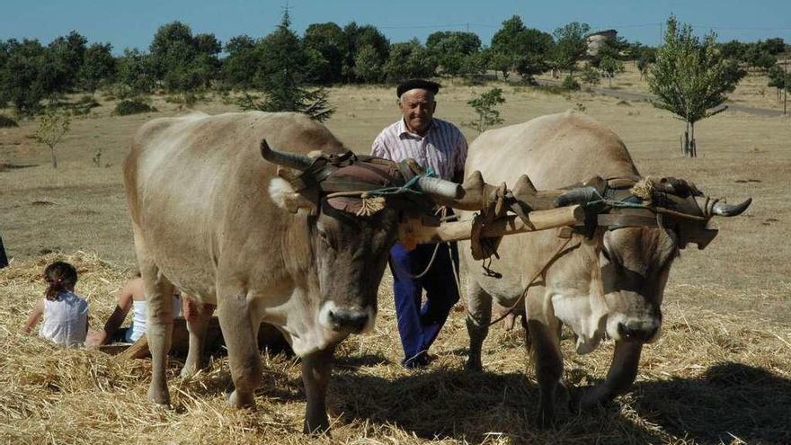 Un vecino de Samir realiza, hace años, una exhibición de labores agrícolas.