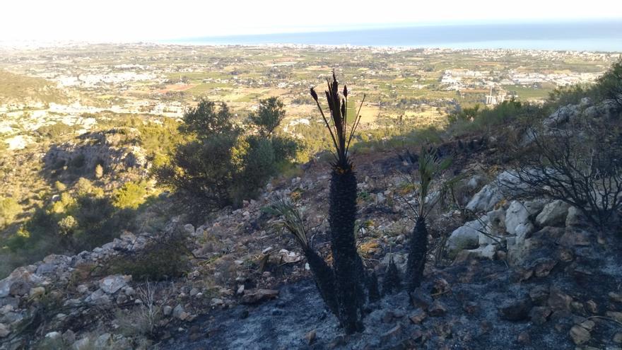 Otra herida en el Montgó