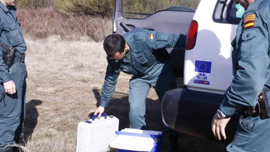 Agentes del Seprona durante una actuación policial.