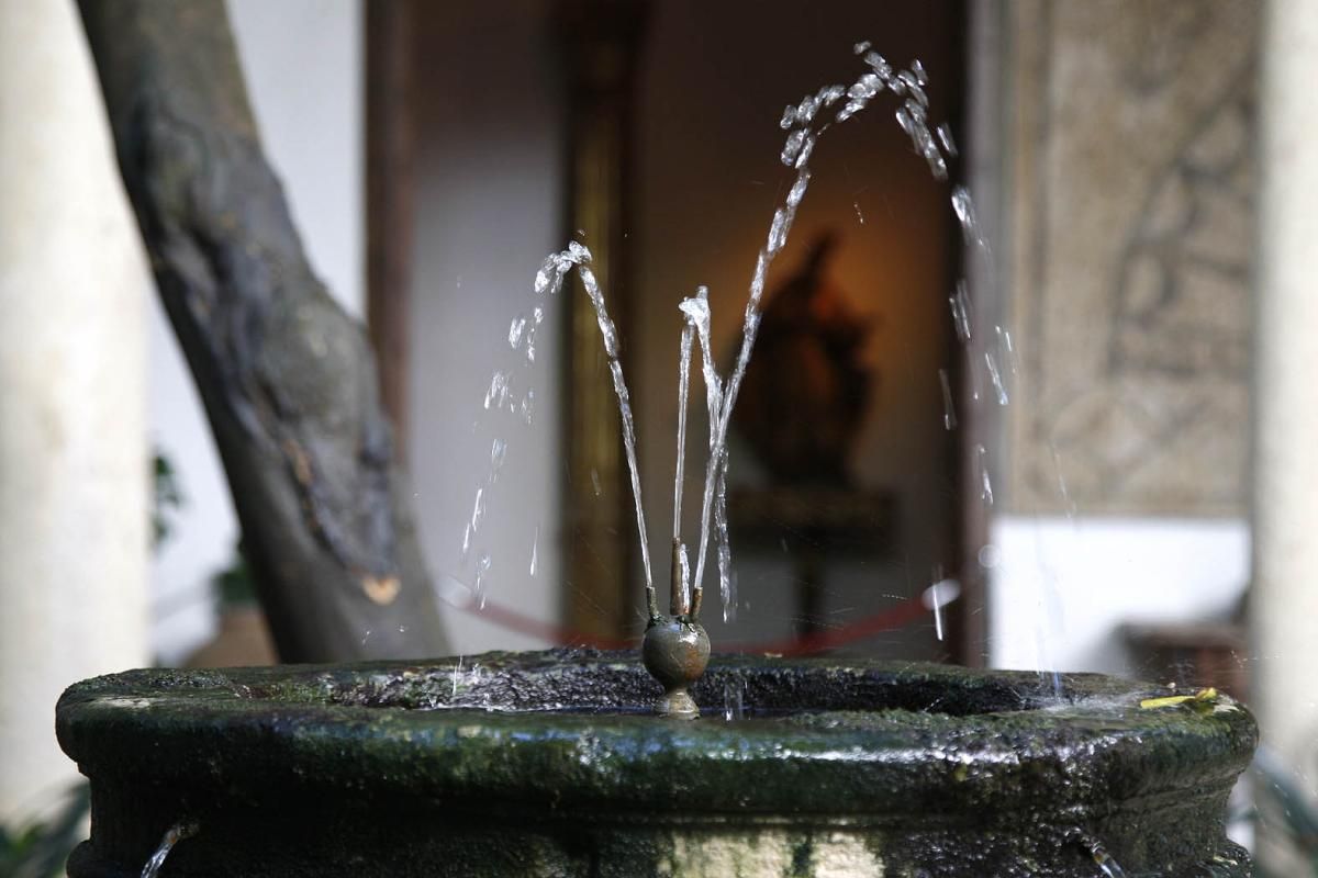 FOTOGALERÍA / Viana, un paseo con los cinco sentidos