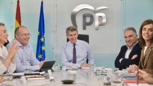 Feijóo conclou que Vox no vol entrar als governs després de parlar amb Abascal